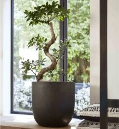 Capi Europe - Bloempot Bol Smooth NL - 35x34 - Zwart - Voor Binnen En Buiten - KBL932 -Woonwinkel 1116x1200