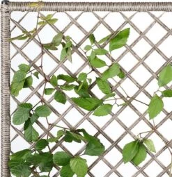 Casaria Polyrattan Bloembak – 3 Bakken Klimophek - Crème -Woonwinkel 1163x1200 2