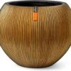 Capi Europe - Vaas Bol Groove XL - 39x33 - Goud - Bloempot Voor Binnen - Opening ⌀24 - GVGB270 1 Capi Europe - Vaas Bol Groove XL - 39x33 - Goud - Bloempot Voor Binnen - Opening ⌀24 - GVGB270 -Woonwinkel 1200x1067 1