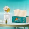 BAMTIME Bamboo Tissues Doos 4-laags Tissues / 90pcs 16box -karton 1 BAMTIME Bamboo Tissues Doos 4-laags Tissues / 90pcs 16box -karton -Woonwinkel 1200x1139 1
