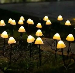Cynergie - Tuinverlichting Op Zonneenergie - 20 X Led Lampen - Solar Lampjes Met Paddenstoelen - Kerstverlichting Buiten -Woonwinkel 1200x1167