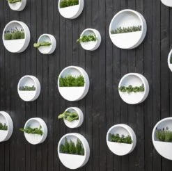 Langwerpige Witte Bloempot Van Naturn Living | Plantenbak | Bloempotten Voor Binnen En Buiten | Wit 8 Langwerpige Witte Bloempot Van Naturn Living | Plantenbak | Bloempotten Voor Binnen En Buiten | Wit -Woonwinkel 1200x1195 4