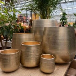 Merkloos Karakter Pot Alu Neo Gold ø40x40cm 9 Merkloos Karakter Pot Alu Neo Gold ø40x40cm -Woonwinkel 1200x1198 12