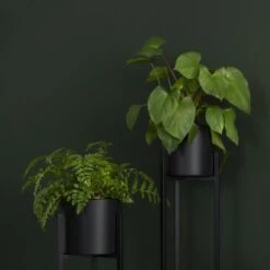 QUVIO Plantenstandaard Inclusief Pot - Staande Plantenbak - Metaal - Plantenbak - Plantenhouders - Planten Zuilen - Voor Buiten - Bloempot - 22 X 22 X 90 Cm - Zwart 11 QUVIO Plantenstandaard Inclusief Pot - Staande Plantenbak - Metaal - Plantenbak - Plantenhouders - Planten Zuilen - Voor Buiten - Bloempot - 22 X 22 X 90 Cm - Zwart -Woonwinkel 1200x1200 119