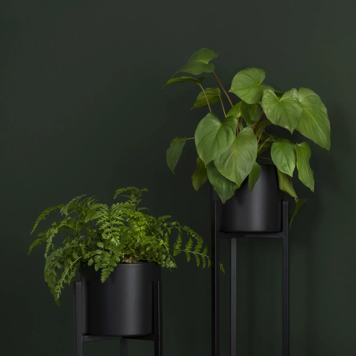 QUVIO Plantenstandaard Inclusief Pot - Staande Plantenbak - Metaal - Plantenbak - Plantenhouders - Planten Zuilen - Voor Buiten - Bloempot - 22 X 22 X 90 Cm - Zwart 6 QUVIO Plantenstandaard Inclusief Pot - Staande Plantenbak - Metaal - Plantenbak - Plantenhouders - Planten Zuilen - Voor Buiten - Bloempot - 22 X 22 X 90 Cm - Zwart - Afbeelding 4