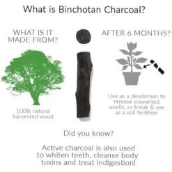 Black + Blum Binchotan Active Charcoal For Eau Good Water Bottles 4-pack -Woonwinkel 1200x1200 1204