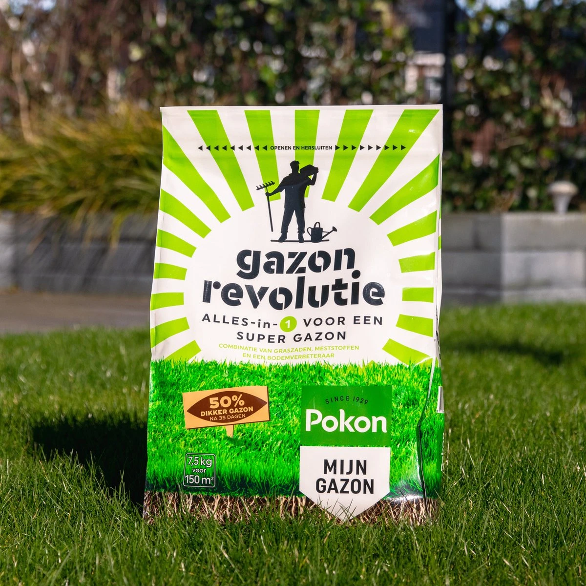 Pokon Gazon Revolutie - 7,5kg - Gazonmest / Graszaad / Bodemverbeteraar - Geschikt Voor 150m² - Binnen 15 Dagen Resultaat 5 Pokon Gazon Revolutie - 7,5kg - Gazonmest / Graszaad / Bodemverbeteraar - Geschikt Voor 150m² - Binnen 15 Dagen Resultaat - Afbeelding 3
