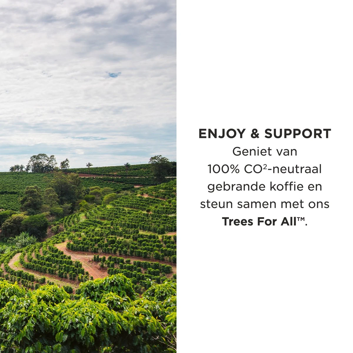 Aroma Club - Koffiebonen 1KG - No. 2 Smooth James - Koffie Intensiteit 3/5 - Espresso & Lungo 6 Aroma Club - Koffiebonen 1KG - No. 2 Smooth James - Koffie Intensiteit 3/5 - Espresso & Lungo - Afbeelding 4