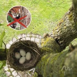 Gardigo Kattenafweergordel -Woonwinkel 1200x1200 373