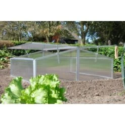 Royal Well Broeikas Silver Thyme -Woonwinkel 1200x1200 409
