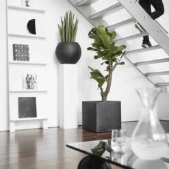 Capi Europe - Bloempot Vierkant Smooth NL - 50x50x50 - Zwart - Voor Binnen En Buiten - KBL904 -Woonwinkel 1200x1200 572