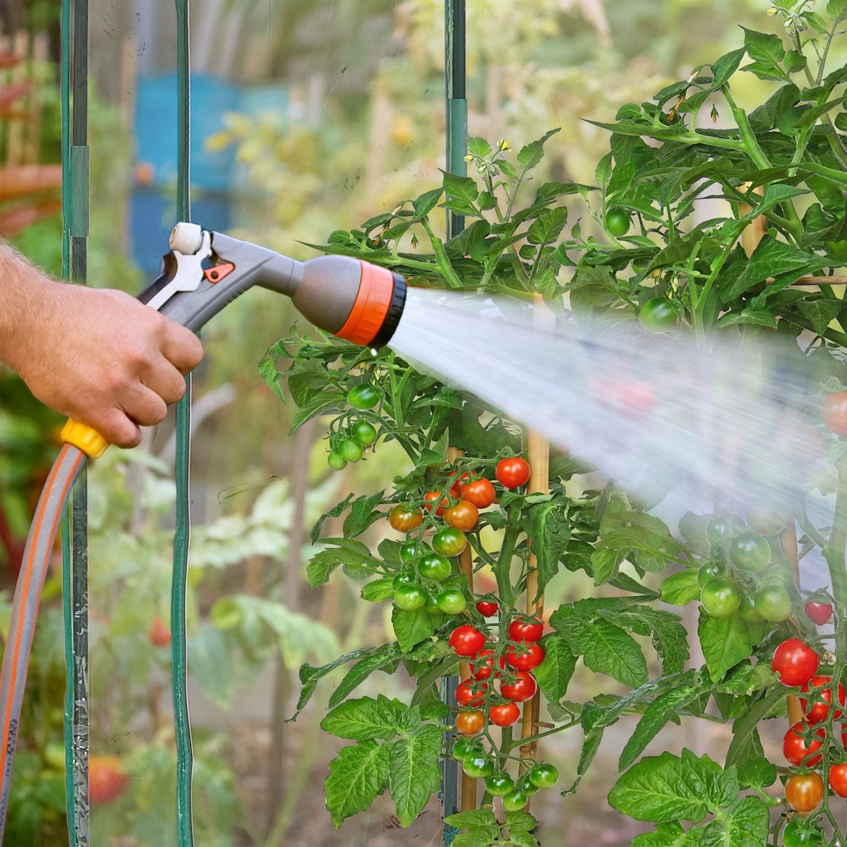 Relaxdays Tomatenkas 170 X 130 X 75 Cm - Folie Tuinkas - Grote Tomaten Kweekkas - Foliekas 8 Relaxdays Tomatenkas 170 X 130 X 75 Cm - Folie Tuinkas - Grote Tomaten Kweekkas - Foliekas - Afbeelding 6