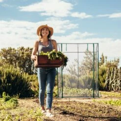 Relaxdays Tomatenkas 170 X 130 X 75 Cm - Folie Tuinkas - Grote Tomaten Kweekkas - Foliekas 17 Relaxdays Tomatenkas 170 X 130 X 75 Cm - Folie Tuinkas - Grote Tomaten Kweekkas - Foliekas -Woonwinkel 1200x1200 581