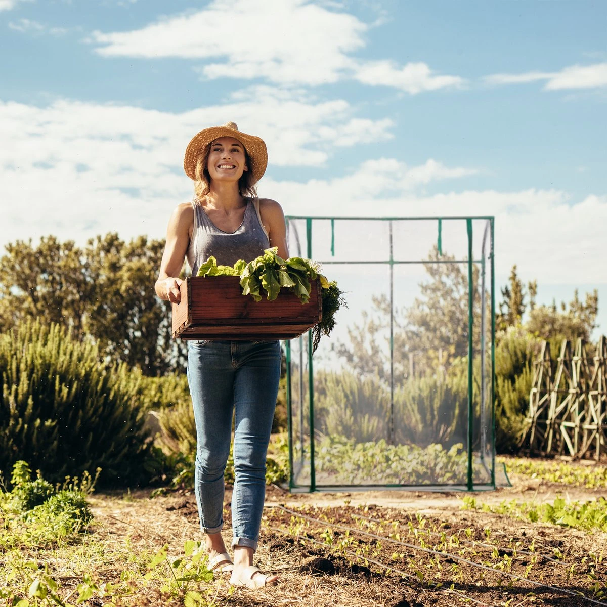 Relaxdays Tomatenkas 170 X 130 X 75 Cm - Folie Tuinkas - Grote Tomaten Kweekkas - Foliekas 9 Relaxdays Tomatenkas 170 X 130 X 75 Cm - Folie Tuinkas - Grote Tomaten Kweekkas - Foliekas - Afbeelding 7