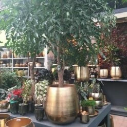 Gina Da Bloempot Karakter Goud - XL -Woonwinkel 1200x1200 594