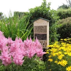 Dokkodo - Insectenhotel Palazzo - Incl. Handig Boekje - Stijlvol En Robuust Bijenhotel 22 Dokkodo - Insectenhotel Palazzo - Incl. Handig Boekje - Stijlvol En Robuust Bijenhotel -Woonwinkel 1200x1200 623