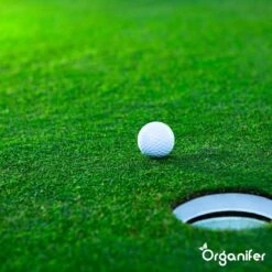 Gazonmest All-In-One (20Kg - Voor 400m2) Voor Een Diepgroen Sterk Gazon Zonder Mos En Onkruid - Complete Meststof Met Kalk En Grasversterker - Organifer 27 Gazonmest All-In-One (20Kg - Voor 400m2) Voor Een Diepgroen Sterk Gazon Zonder Mos En Onkruid - Complete Meststof Met Kalk En Grasversterker - Organifer -Woonwinkel 1200x1200 657