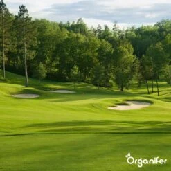 Gazonmest All-In-One (20Kg - Voor 400m2) Voor Een Diepgroen Sterk Gazon Zonder Mos En Onkruid - Complete Meststof Met Kalk En Grasversterker - Organifer 28 Gazonmest All-In-One (20Kg - Voor 400m2) Voor Een Diepgroen Sterk Gazon Zonder Mos En Onkruid - Complete Meststof Met Kalk En Grasversterker - Organifer -Woonwinkel 1200x1200 658