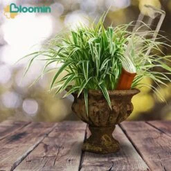 Bloomin Waterdruppelaar Van Terracotta - Waterdruppelaar Voor Planten - Druppelsysteem - Irrigatiesysteem - Watergeefsysteem - Bewateringssysteem - 8 Stuks -Woonwinkel 1200x1200 675