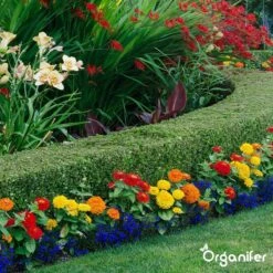 Lavagruis Uit Eifel Oergesteente (20Kg Voor 200m2) Grof Lavameel 0-2mm - Organifer -Woonwinkel 1200x1200 680