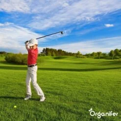 Lavagruis Uit Eifel Oergesteente (20Kg Voor 200m2) Grof Lavameel 0-2mm - Organifer -Woonwinkel 1200x1200 682