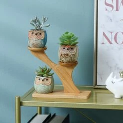 Luxe Bamboe Houten Boom Met 3 Keramiek Uil Bloempotten/Plantenpotten Op Standaard/Voet Voor Binnen En Buiten - Modern Design Bloempot/Plantenpot Op Poten/Pootjes-Plantenbak Mini Cactus Nep Plant Pot Houder - Kleine Bloembakken Plantenrek/Plantenkurk 13 Luxe Bamboe Houten Boom Met 3 Keramiek Uil Bloempotten/Plantenpotten Op Standaard/Voet Voor Binnen En Buiten - Modern Design Bloempot/Plantenpot Op Poten/Pootjes-Plantenbak Mini Cactus Nep Plant Pot Houder - Kleine Bloembakken Plantenrek/Plantenkurk -Woonwinkel 1200x1200 711