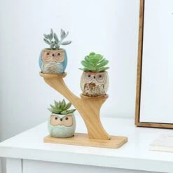 Luxe Bamboe Houten Boom Met 3 Keramiek Uil Bloempotten/Plantenpotten Op Standaard/Voet Voor Binnen En Buiten - Modern Design Bloempot/Plantenpot Op Poten/Pootjes-Plantenbak Mini Cactus Nep Plant Pot Houder - Kleine Bloembakken Plantenrek/Plantenkurk 15 Luxe Bamboe Houten Boom Met 3 Keramiek Uil Bloempotten/Plantenpotten Op Standaard/Voet Voor Binnen En Buiten - Modern Design Bloempot/Plantenpot Op Poten/Pootjes-Plantenbak Mini Cactus Nep Plant Pot Houder - Kleine Bloembakken Plantenrek/Plantenkurk -Woonwinkel 1200x1200 712