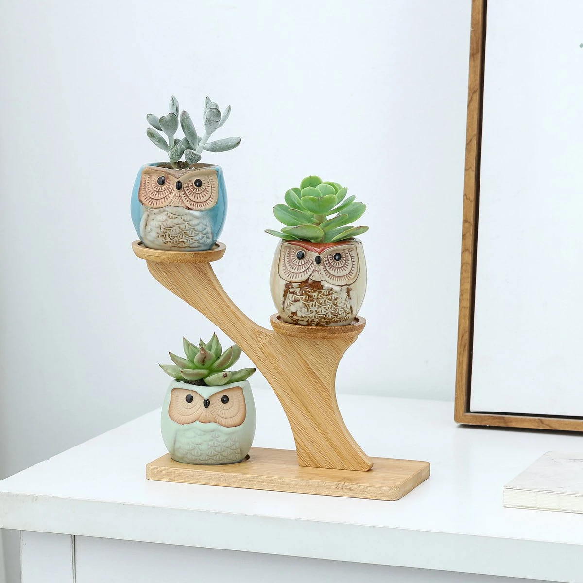 Luxe Bamboe Houten Boom Met 3 Keramiek Uil Bloempotten/Plantenpotten Op Standaard/Voet Voor Binnen En Buiten - Modern Design Bloempot/Plantenpot Op Poten/Pootjes-Plantenbak Mini Cactus Nep Plant Pot Houder - Kleine Bloembakken Plantenrek/Plantenkurk 7 Luxe Bamboe Houten Boom Met 3 Keramiek Uil Bloempotten/Plantenpotten Op Standaard/Voet Voor Binnen En Buiten - Modern Design Bloempot/Plantenpot Op Poten/Pootjes-Plantenbak Mini Cactus Nep Plant Pot Houder - Kleine Bloembakken Plantenrek/Plantenkurk - Afbeelding 5