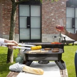 Princess 112252 Hybride Barbecue – Elektrische BBQ - Tafelmodel - 2000W - 44x 29cm - Gebruik Elektrisch Of Met Kolen -Woonwinkel 1200x1200 877