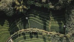 Sola Bestekset Bali - Modern - 9 Persoons - 90 Delig - Zilverwit Edelstaal 18/10 - RVS - Zilver -Woonwinkel 1200x675 29