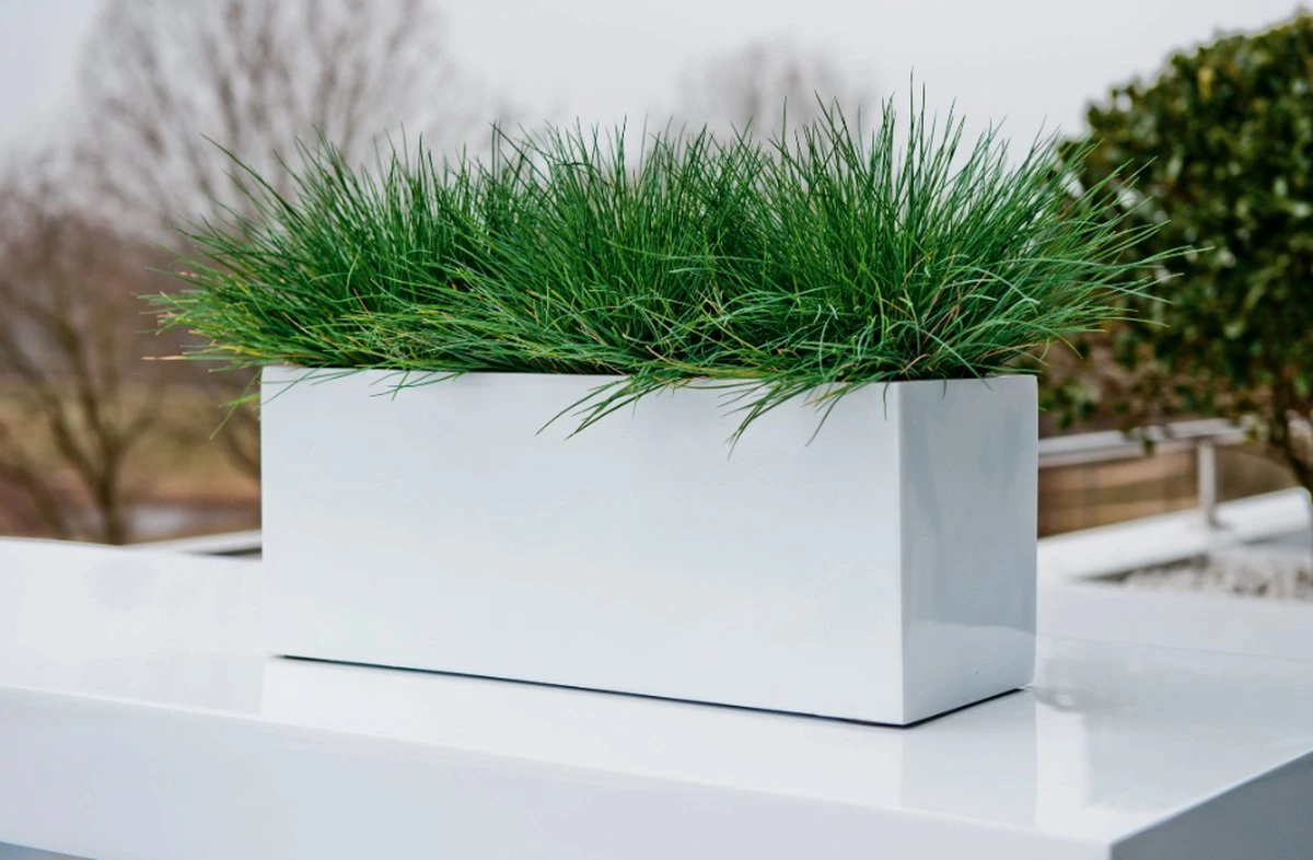 Langwerpige Witte Bloempot Van Naturn Living | Plantenbak | Bloempotten Voor Binnen En Buiten | Wit 3 Langwerpige Witte Bloempot Van Naturn Living | Plantenbak | Bloempotten Voor Binnen En Buiten | Wit