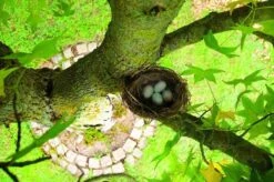 Gardigo Kattenafweergordel -Woonwinkel 1200x799 10