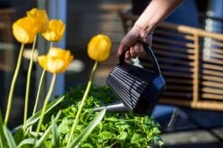 Xala - Gieter Doppio Groove 2L Olijfgrijs -Woonwinkel 1200x799 42