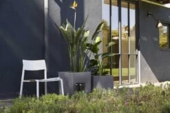 Capi Europe - Bloempot Vierkant Smooth NL - 50x50x50 - Zwart - Voor Binnen En Buiten - KBL904 -Woonwinkel 1200x800 109