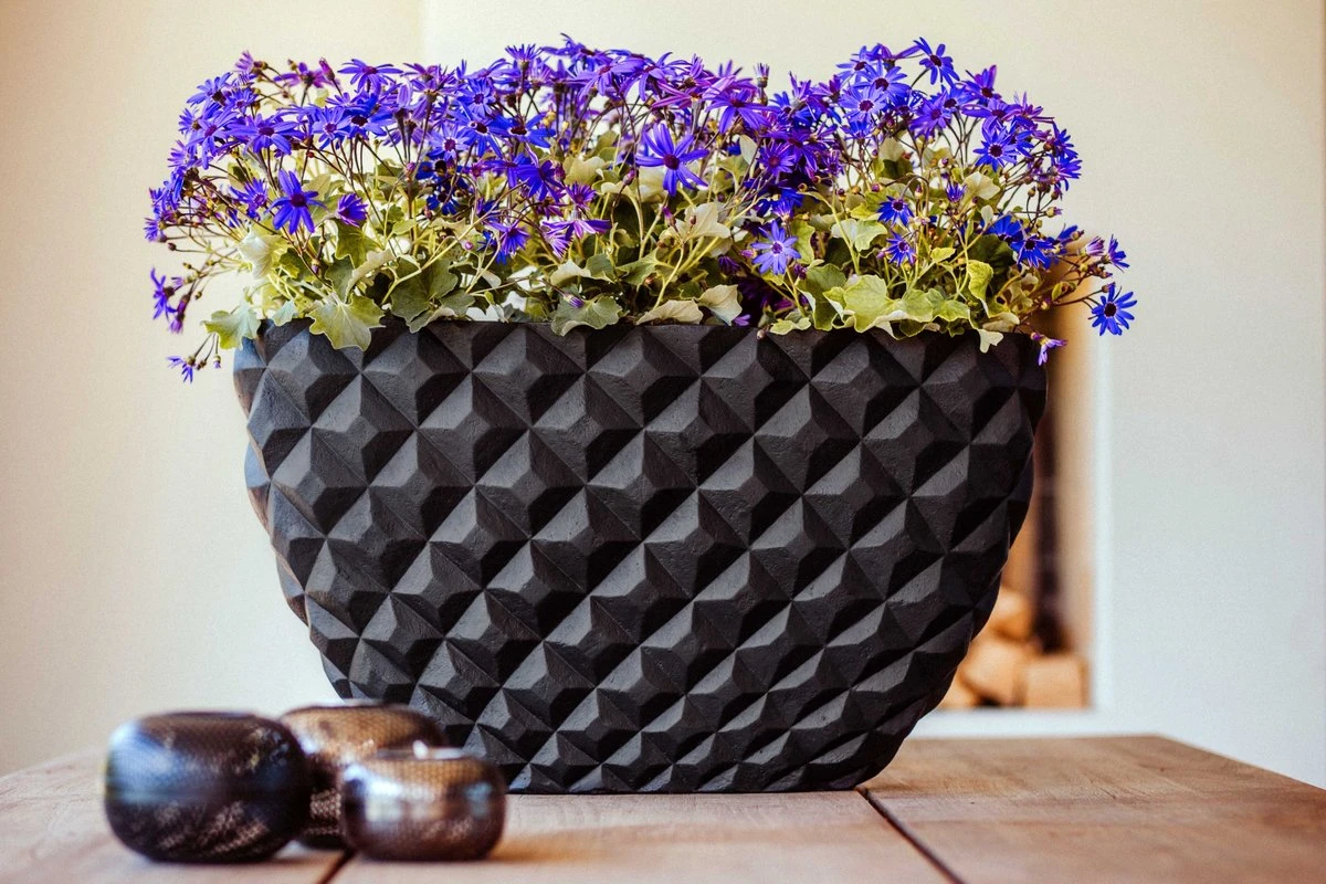 Capi Europe - Bloempot Ovaal Heraldry - 60x35 - Zwart - Bloempot Voor Binnen - BSBI841 4 Capi Europe - Bloempot Ovaal Heraldry - 60x35 - Zwart - Bloempot Voor Binnen - BSBI841 - Afbeelding 2