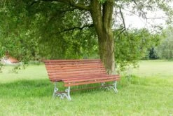 MaximaVida Tuinbank Budapest Oil 170 Cm - Uit Exclusief Mahoniehout -Woonwinkel 1200x800 146