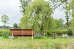 MaximaVida Tuinbank Budapest Oil 170 Cm - Uit Exclusief Mahoniehout -Woonwinkel 1200x800 147