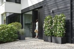 Elho Vivo Next Vierkant 40 - Plantenbak Voor Binnen & Buiten - Ø 39.0 X H 37.9 Cm - Zwart/Living Black 25 Elho Vivo Next Vierkant 40 - Plantenbak Voor Binnen & Buiten - Ø 39.0 X H 37.9 Cm - Zwart/Living Black -Woonwinkel 1200x800 73