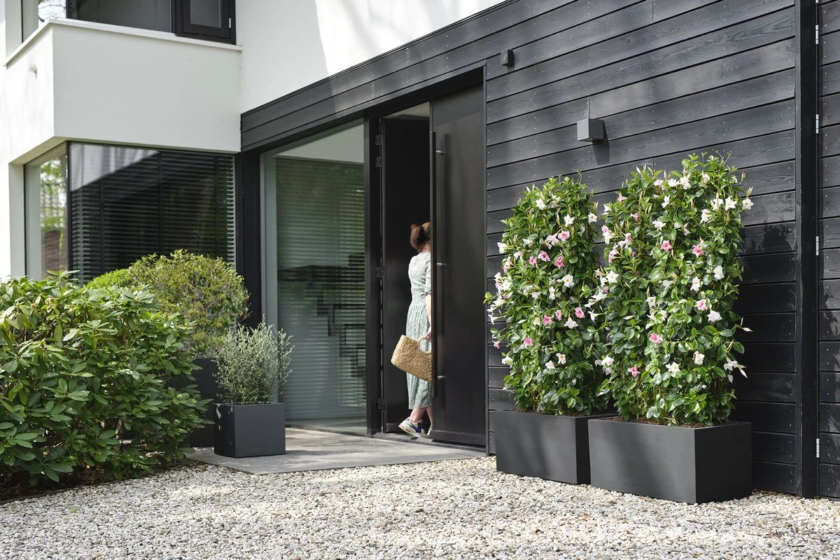 Elho Vivo Next Vierkant 40 - Plantenbak Voor Binnen & Buiten - Ø 39.0 X H 37.9 Cm - Zwart/Living Black 8 Elho Vivo Next Vierkant 40 - Plantenbak Voor Binnen & Buiten - Ø 39.0 X H 37.9 Cm - Zwart/Living Black - Afbeelding 6