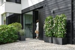 Elho Vivo Next Vierkant 40 - Plantenbak Voor Binnen & Buiten - Ø 39.0 X H 37.9 Cm - Zwart/Living Black 31 Elho Vivo Next Vierkant 40 - Plantenbak Voor Binnen & Buiten - Ø 39.0 X H 37.9 Cm - Zwart/Living Black -Woonwinkel 1200x800 74