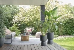 Elho Pure Coupe 41 - Bloempot Voor Binnen & Buiten - Ø 41.3 X H 57.9 Cm - Zwart/Zwart 20 Elho Pure Coupe 41 - Bloempot Voor Binnen & Buiten - Ø 41.3 X H 57.9 Cm - Zwart/Zwart -Woonwinkel 1200x805 2