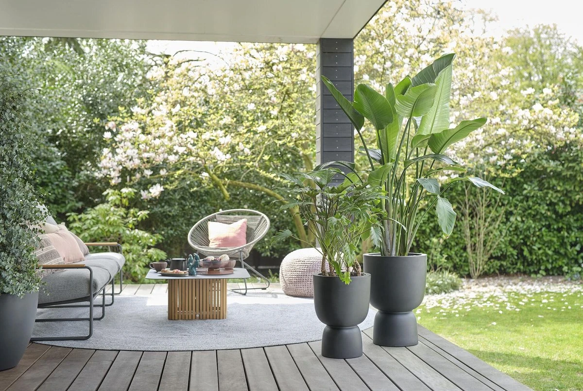 Elho Pure Coupe 41 - Bloempot Voor Binnen & Buiten - Ø 41.3 X H 57.9 Cm - Zwart/Zwart 6 Elho Pure Coupe 41 - Bloempot Voor Binnen & Buiten - Ø 41.3 X H 57.9 Cm - Zwart/Zwart - Afbeelding 4