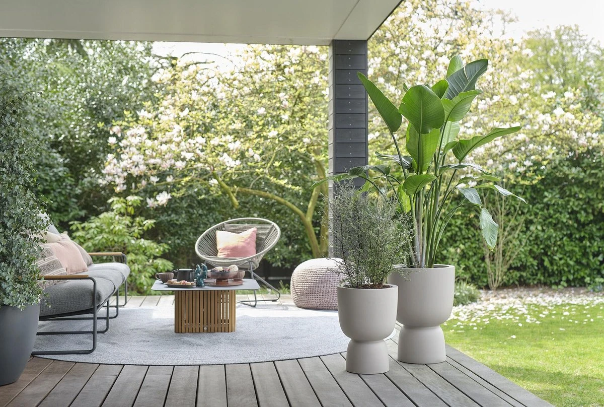 Elho Pure Coupe 35 - Bloempot Voor Binnen & Buiten - Ø 34.9 X H 49.0 Cm - Beige/Balanced Beige 21 Elho Pure Coupe 35 - Bloempot Voor Binnen & Buiten - Ø 34.9 X H 49.0 Cm - Beige/Balanced Beige - Afbeelding 19