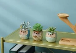 Luxe Bamboe Houten Boom Met 3 Keramiek Uil Bloempotten/Plantenpotten Op Standaard/Voet Voor Binnen En Buiten - Modern Design Bloempot/Plantenpot Op Poten/Pootjes-Plantenbak Mini Cactus Nep Plant Pot Houder - Kleine Bloembakken Plantenrek/Plantenkurk 14 Luxe Bamboe Houten Boom Met 3 Keramiek Uil Bloempotten/Plantenpotten Op Standaard/Voet Voor Binnen En Buiten - Modern Design Bloempot/Plantenpot Op Poten/Pootjes-Plantenbak Mini Cactus Nep Plant Pot Houder - Kleine Bloembakken Plantenrek/Plantenkurk -Woonwinkel 1200x840