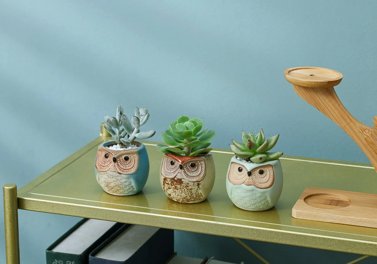 Luxe Bamboe Houten Boom Met 3 Keramiek Uil Bloempotten/Plantenpotten Op Standaard/Voet Voor Binnen En Buiten - Modern Design Bloempot/Plantenpot Op Poten/Pootjes-Plantenbak Mini Cactus Nep Plant Pot Houder - Kleine Bloembakken Plantenrek/Plantenkurk 6 Luxe Bamboe Houten Boom Met 3 Keramiek Uil Bloempotten/Plantenpotten Op Standaard/Voet Voor Binnen En Buiten - Modern Design Bloempot/Plantenpot Op Poten/Pootjes-Plantenbak Mini Cactus Nep Plant Pot Houder - Kleine Bloembakken Plantenrek/Plantenkurk - Afbeelding 4