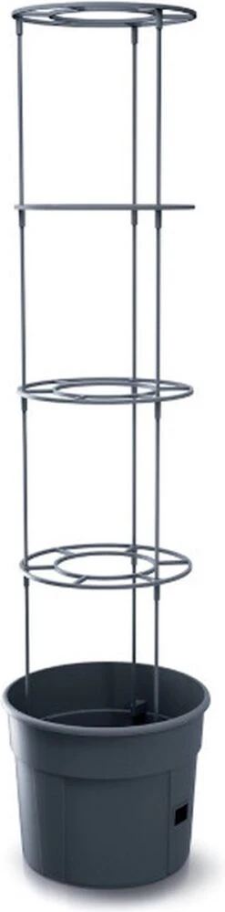 TOMATENPOT VOOR HET KWEKEN VAN TOMATEN PROSPERPLAST 28L -Woonwinkel 297x1200