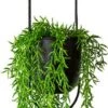 Be-Inspired® Hangende Bloempot Ovaal - Bloempot Binnen - Voor Hangplant – Plant Bloem Pot Met Opknoping – Plantenhanger - Plantenbak - Industrieel – Scandinavisch - Metaal - Zwart -Woonwinkel 314x1200