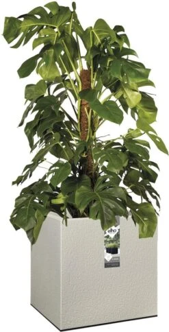 Elho Vivo Structure Finish Vierkant 40 - Plantenbak Voor Binnen & Buiten - Ø 39 X H 41 - Grijs/Warm Grijs -Woonwinkel 613x1200
