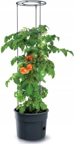 TOMATENPOT VOOR HET KWEKEN VAN TOMATEN PROSPERPLAST 28L -Woonwinkel 621x1200 1
