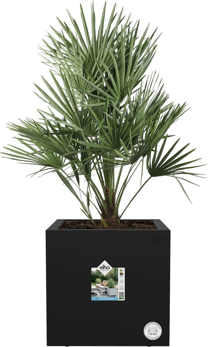 Elho Vivo Next Vierkant 40 - Plantenbak Voor Binnen & Buiten - Ø 39.0 X H 37.9 Cm - Zwart/Living Black 4 Elho Vivo Next Vierkant 40 - Plantenbak Voor Binnen & Buiten - Ø 39.0 X H 37.9 Cm - Zwart/Living Black - Afbeelding 2